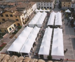 Serie di gazebo mt 4x4 e mt 5x5 noleggiati per mostra del Florovivaismo